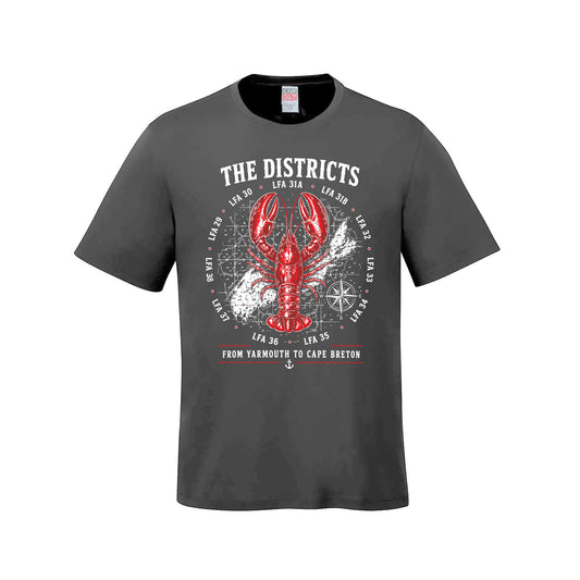 The Districts Premium T-Shirt